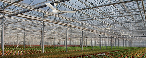 Вентилятор потолочный Vortice Nordik International Plus 120/48 Италия